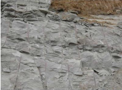 �˹�ɰ�r���Ƭ������cԇ�