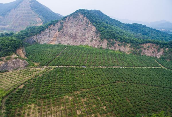 讓綠色成為礦業(yè)發(fā)展的主基調