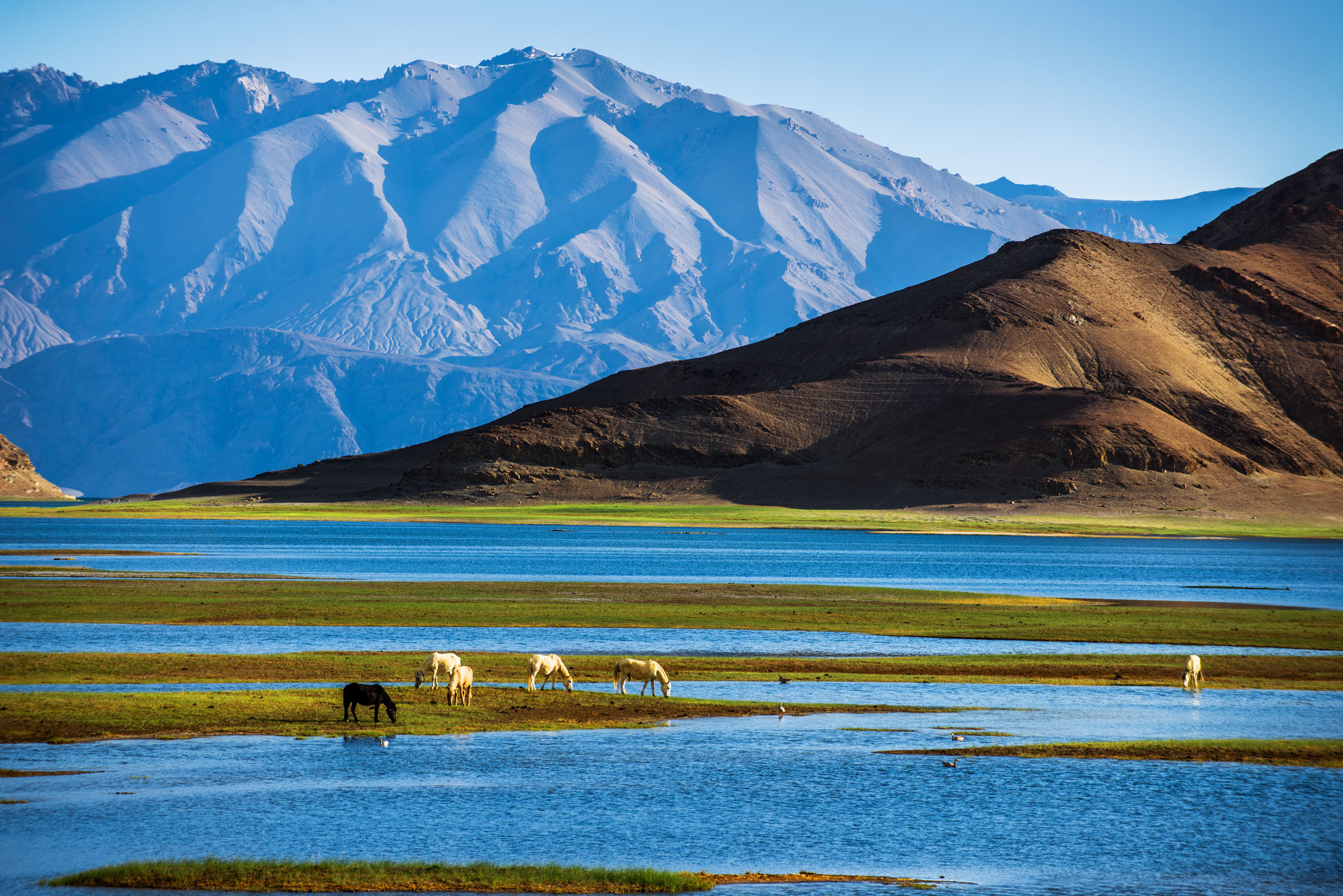 ߲T4_չȻo^ʯɰ헶!